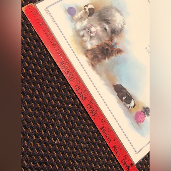 NWT Reversible Pet Bowl Dog food or water Plasticized Floor Placemat! - Picture 15 of 16